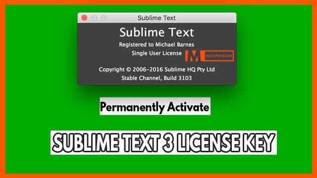Sublime Text 3207